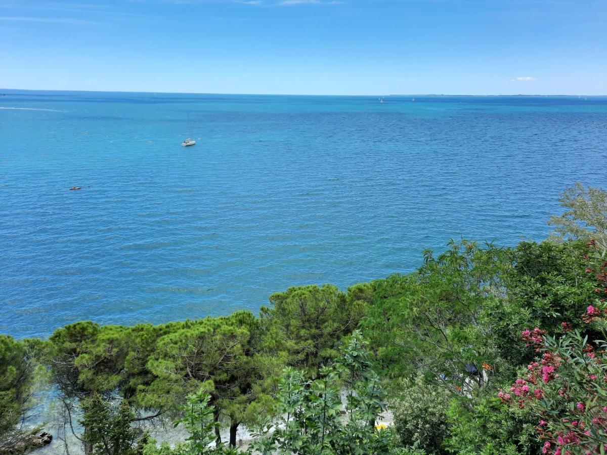 Agriturismo Ai Tre Sentieri アウリジーナ エクステリア 写真