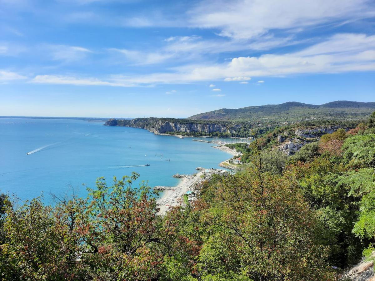 Agriturismo Ai Tre Sentieri アウリジーナ エクステリア 写真